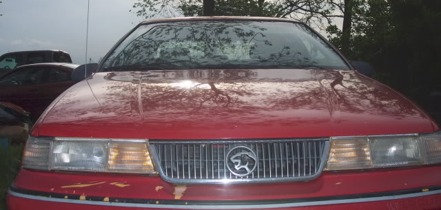 Name:  timsguns2213.jpg
Views: 121
Size:  48.1 KB