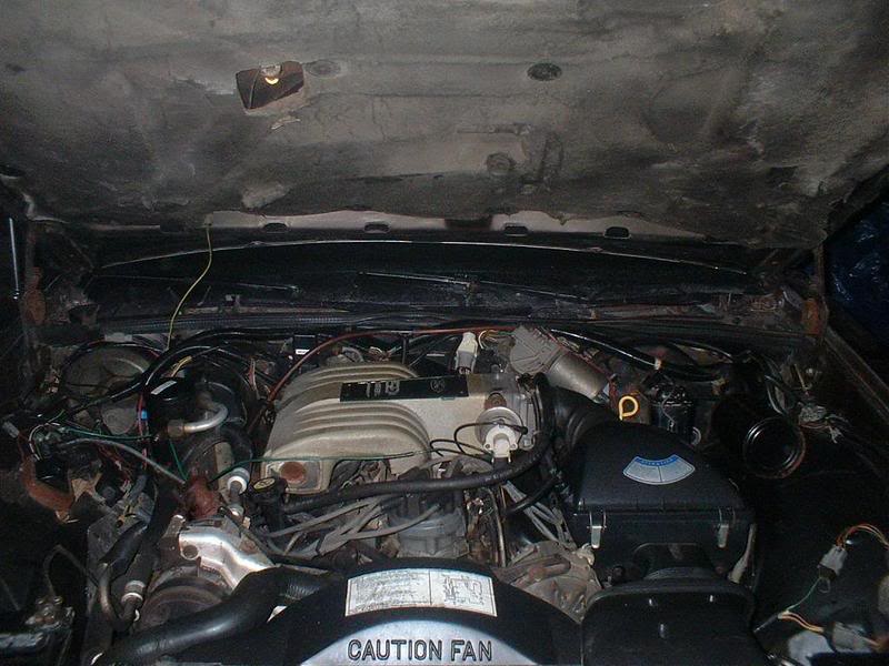 Name:  Cocoaenginebefore.jpg
Views: 108
Size:  75.4 KB