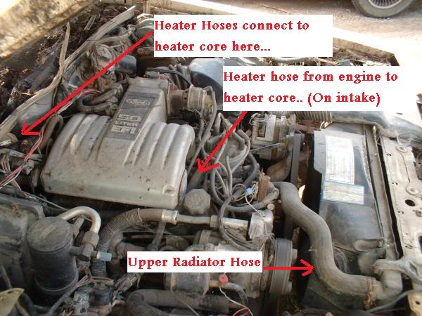 Name:  hoses1.jpg
Views: 2262
Size:  59.6 KB