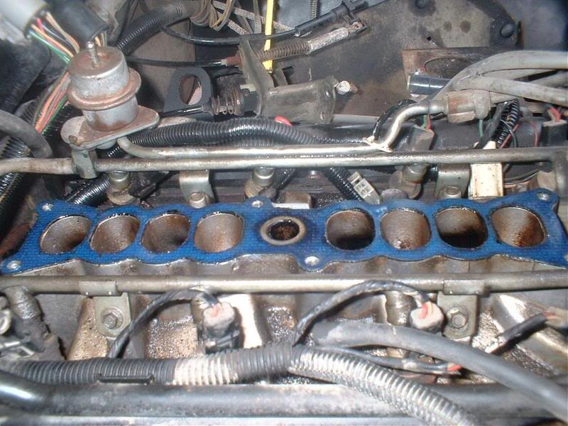 Name:  Cocoacleanedports.jpg
Views: 792
Size:  88.6 KB