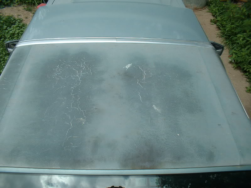 Name:  vinyl.jpg
Views: 2100
Size:  53.0 KB