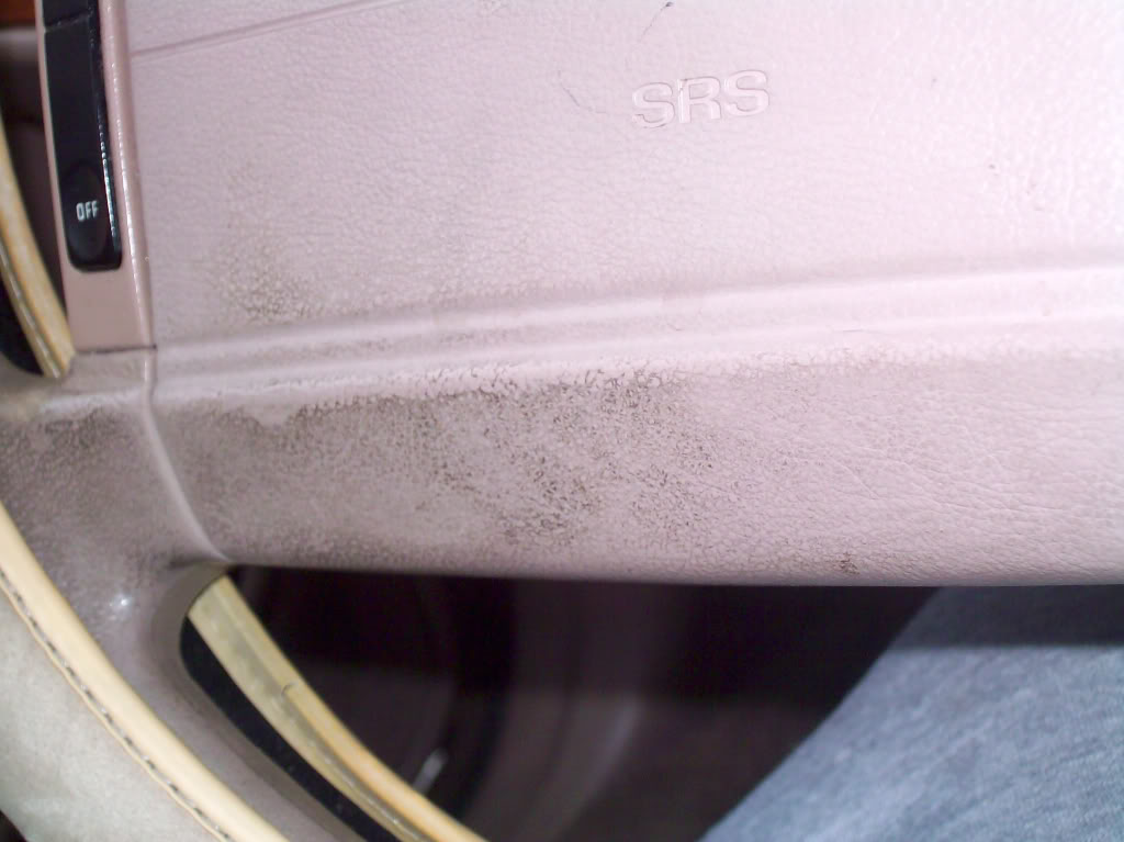 Name: 100_2053.jpg
Views: 74
Size: 81.9 KB