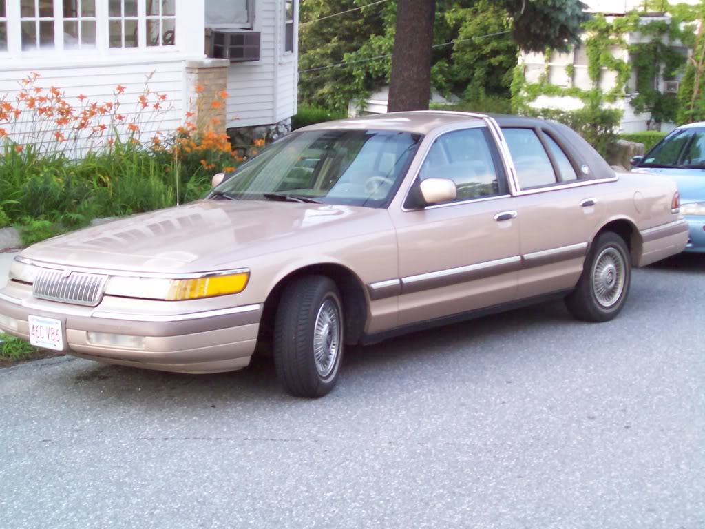 Name: 100_0350.jpg
Views: 87
Size: 139.8 KB