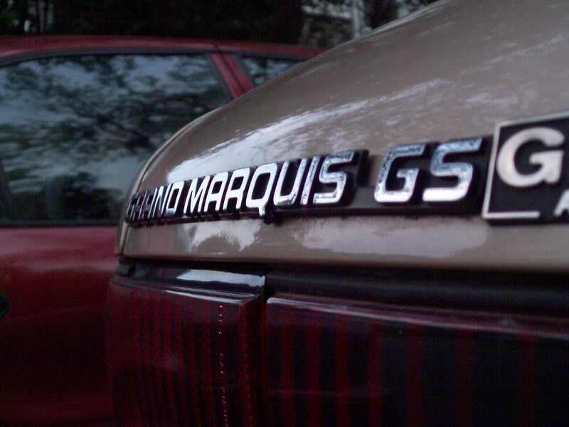 Name: 100_0397.jpg
Views: 87
Size: 61.6 KB