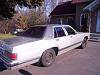 1989 Marquis Vinyl Removal-6866_20.jpg.jpg