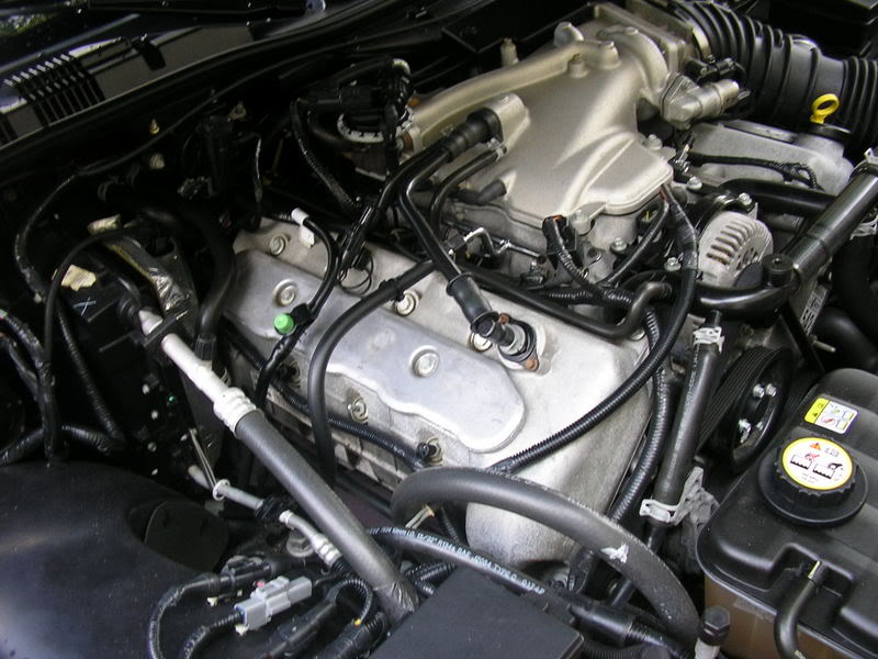 Name: P8300037.jpg
Views: 37
Size: 85.0 KB