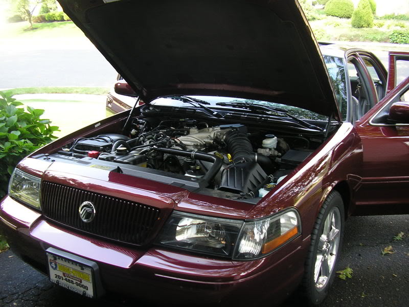 Name: P8300032.jpg
Views: 37
Size: 89.2 KB