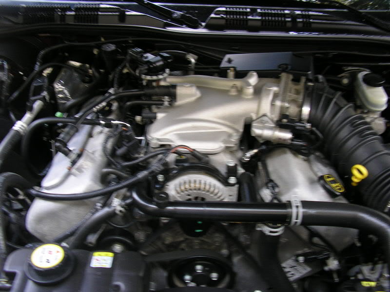 Name: P8300030.jpg
Views: 37
Size: 72.9 KB