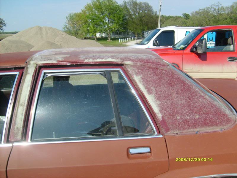 Name: S6300969.jpg
Views: 210
Size: 72.6 KB